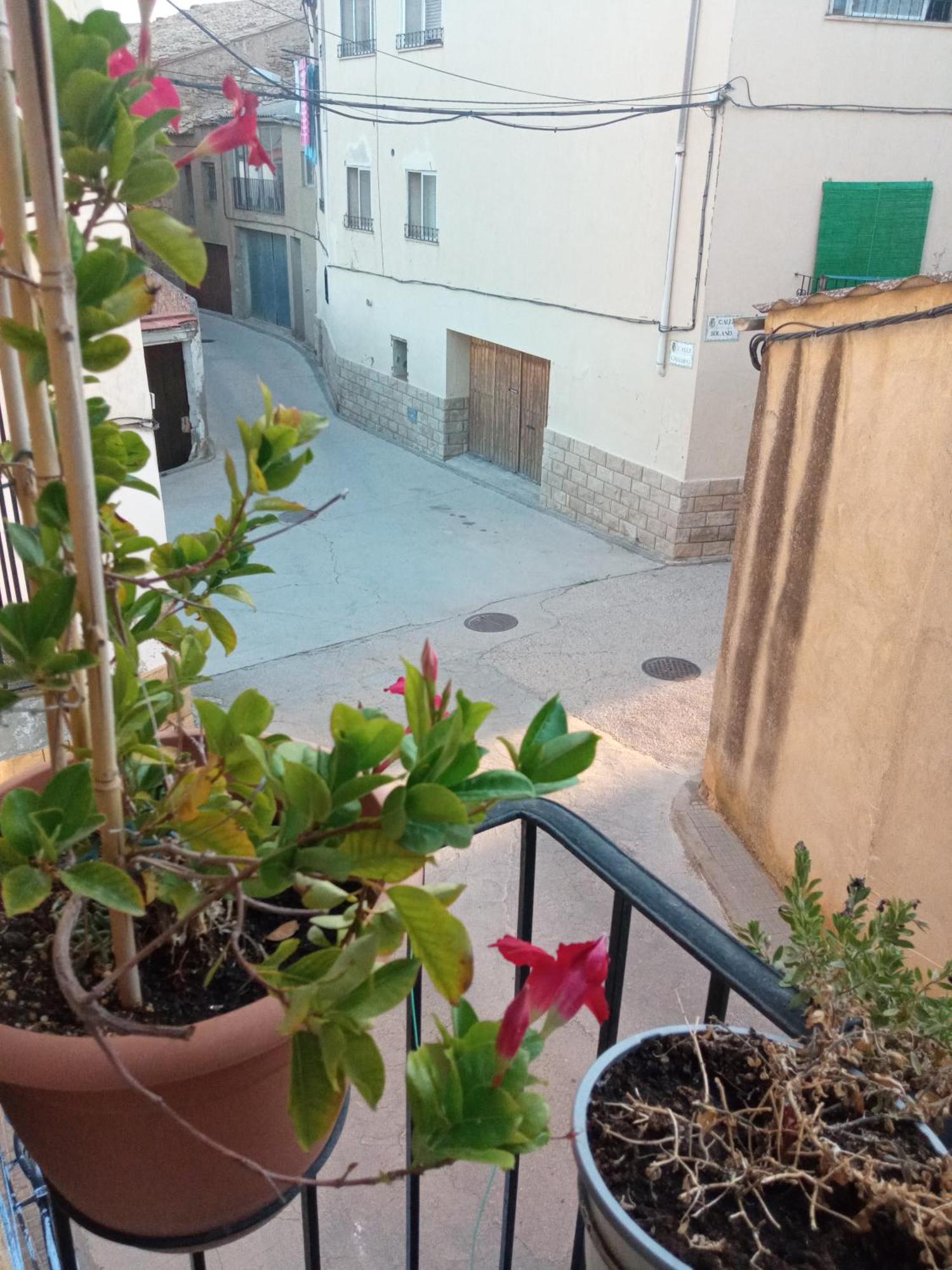 Musas Gastro Casa Rural Valdealgorfa Exterior foto